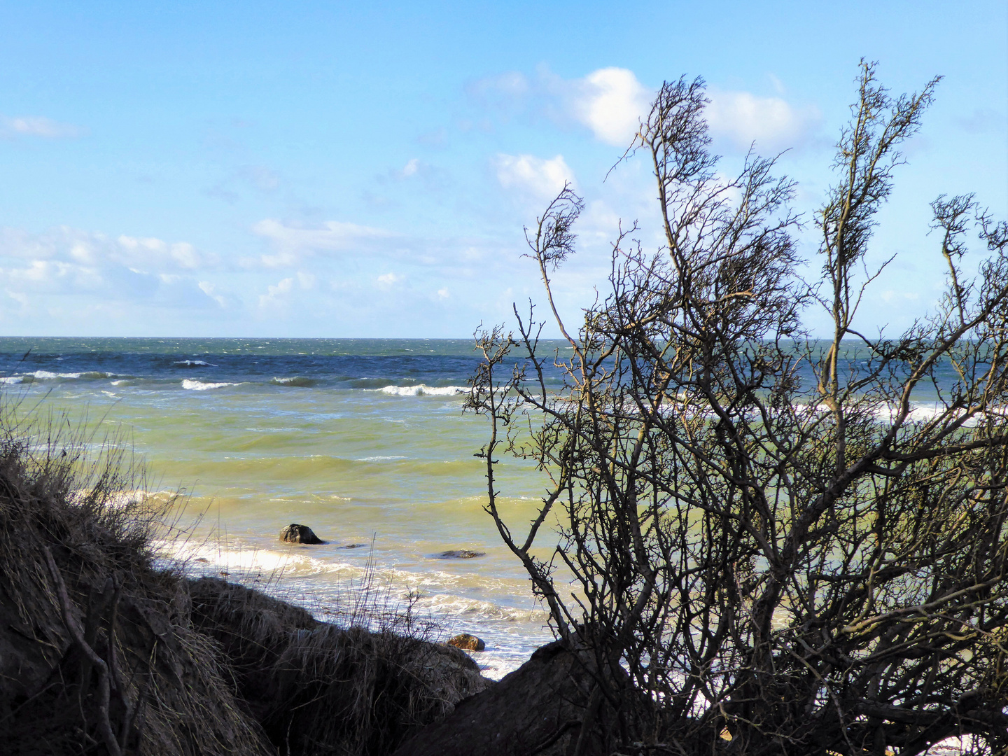 Ihn haben der Wind und das Meer erwischt.. 