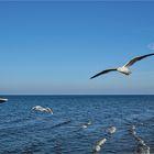 Ihnen gehört der Himmel über der Ostsee... 