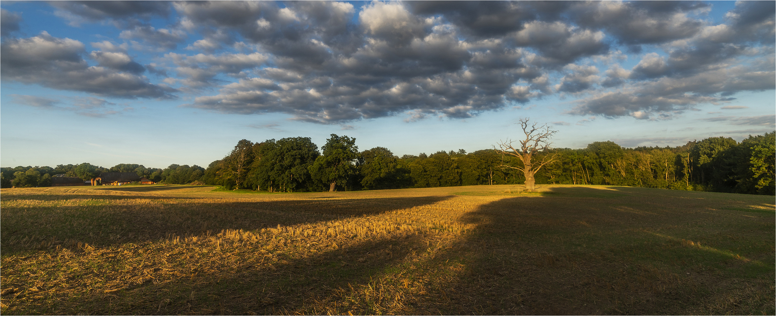 … Ihr Auftritt im Abendlicht …