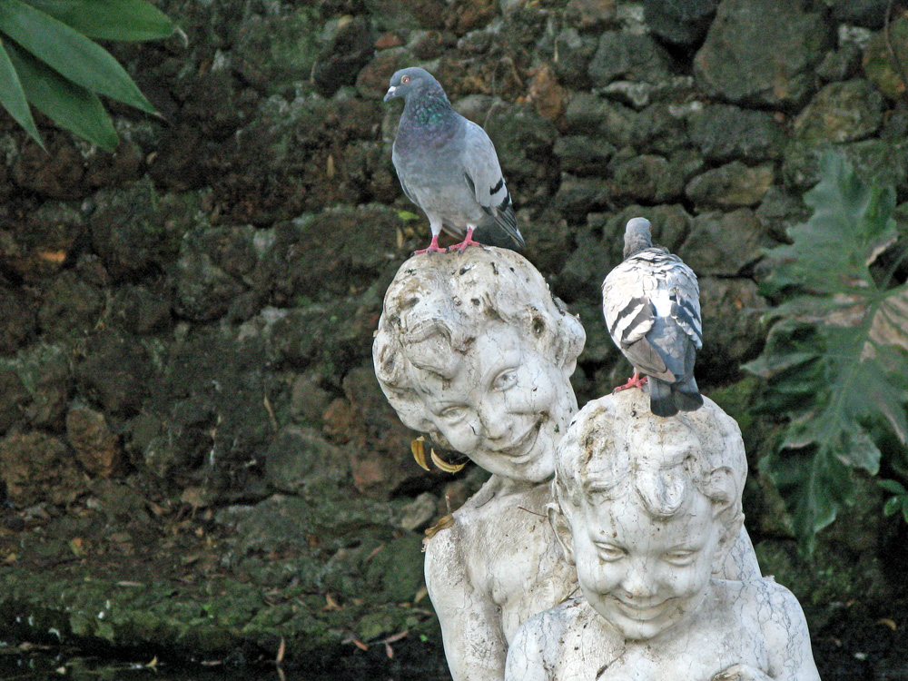 ihr habt ja einen Vogel......