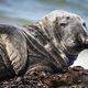 Nordsee & Helgoland