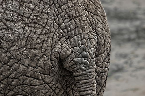 Ihr könnt mir ruhig...