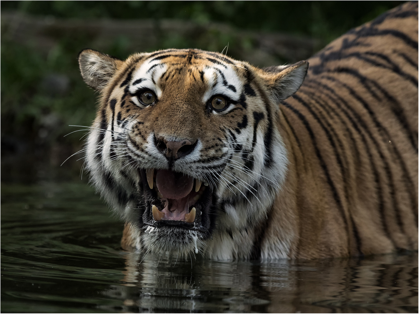Ihr läuft das Wasser im Mund zusammen..... Foto & Bild nature, wasser, natur Bilder auf Ihr läuft das Wasser im Mund zusammen..... Foto & Bild nature, wasser, natur Bilder auf