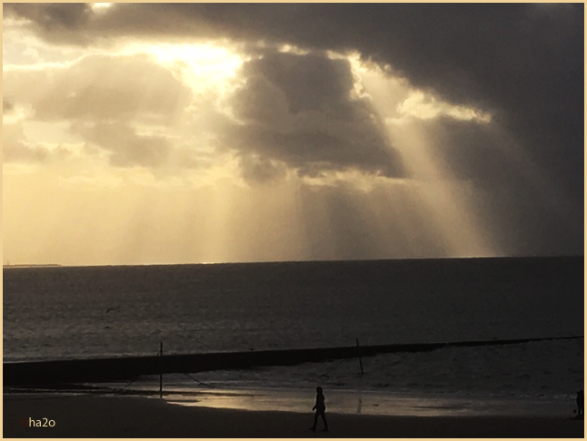 "Ihr Wolken brecht und regnet aus..."