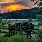 Ihre Aufmerksamkeit gilt dem Fotografen