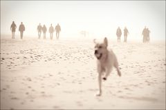 II IIII ,,, II ii oder "Die Flucht"