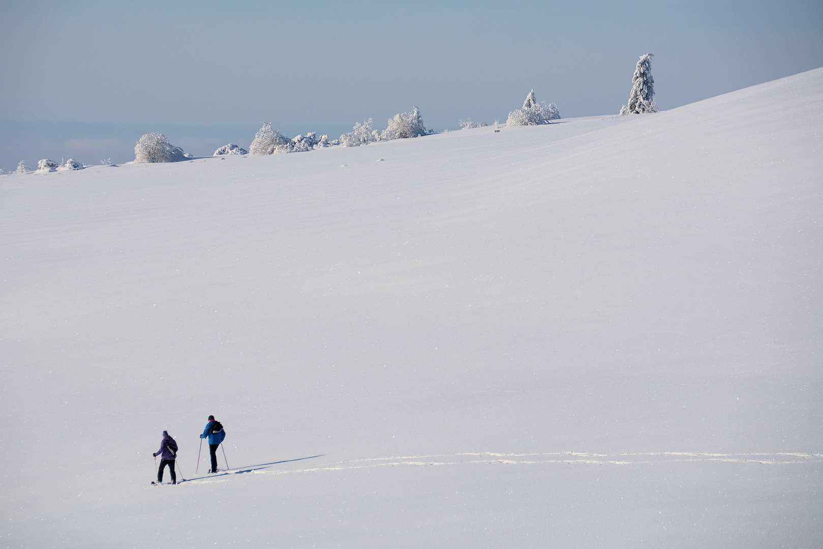 II Spuren im Schnee