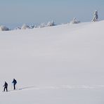 II Spuren im Schnee