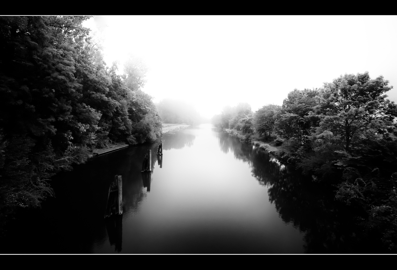 bilder schwarz weiß