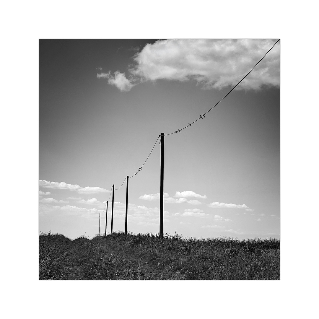 _iiI|