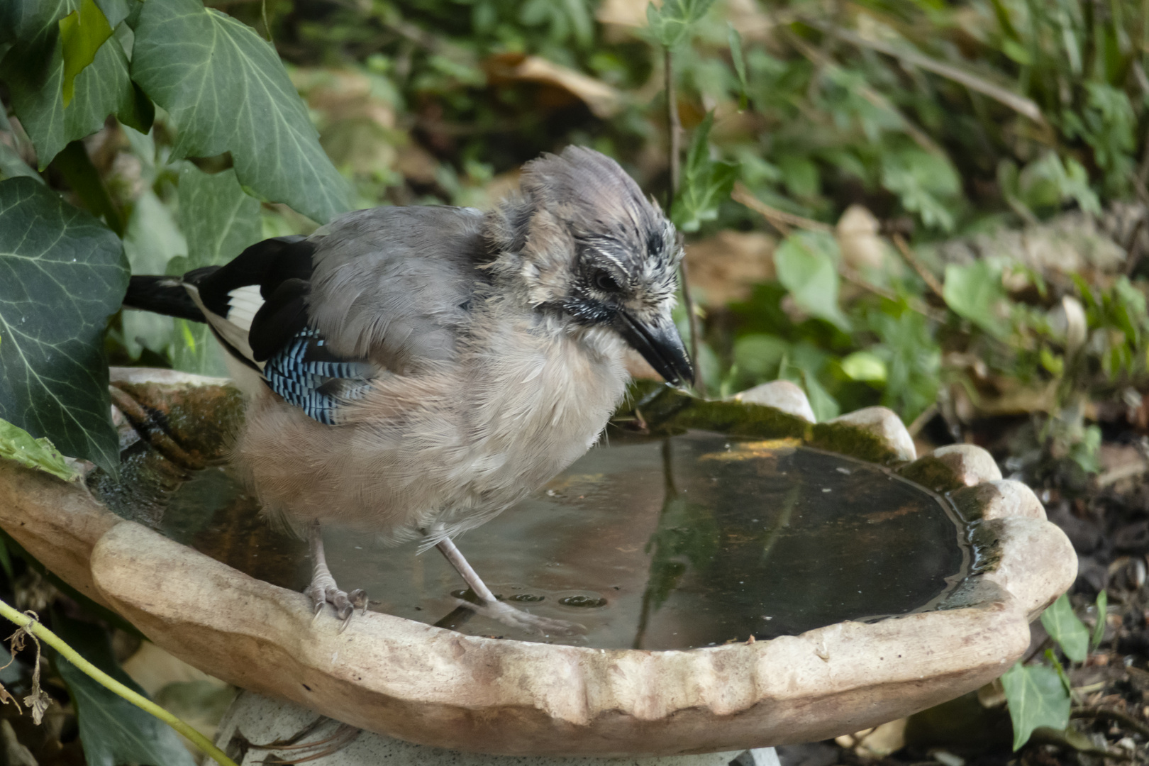 Iiiih ist doch ganz schön kalt das Wasser...