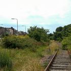 Ijmuiden - Former Abandoned Railway to Santpoort/Haarlem