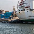 Ijmuiden - Noord-Holland. 2