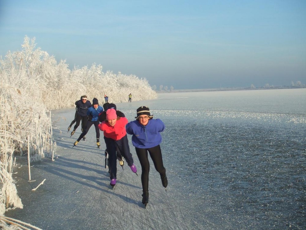 Ijspret auf die Oostvaardersplassen