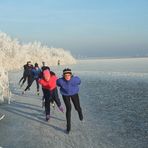 Ijspret auf die Oostvaardersplassen