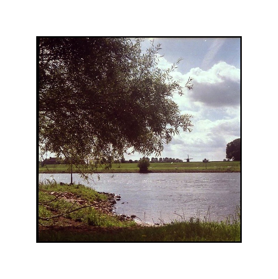 Ijssel-Auen nördlich von Deventer/Nl.