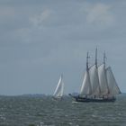 IJsselmeer 2017