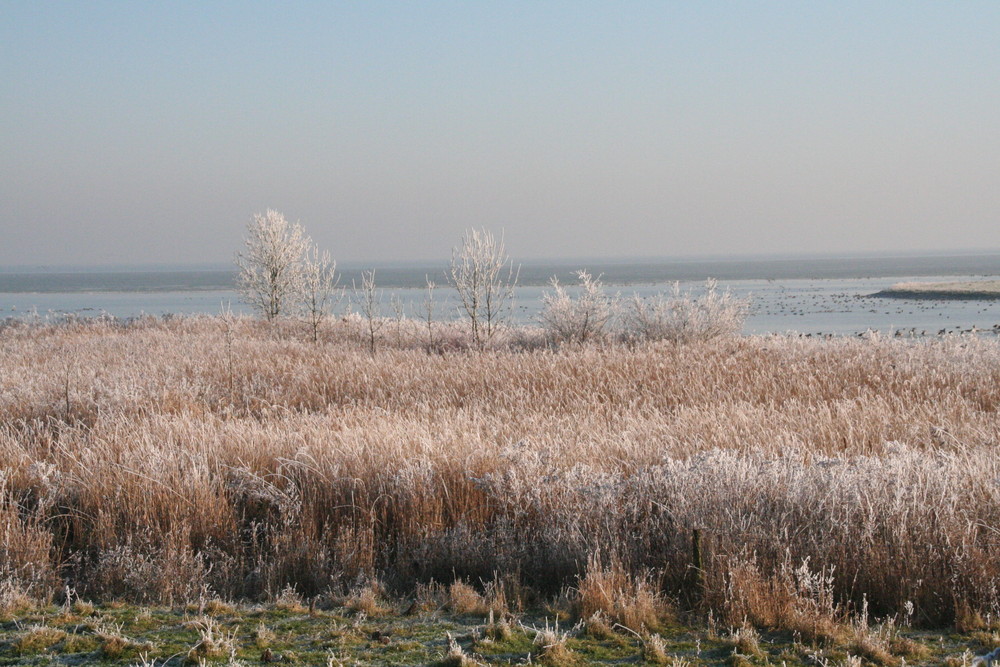 Ijsselmeer im Winter