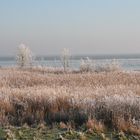 Ijsselmeer im Winter