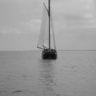 Ijsselmeer Segler 2