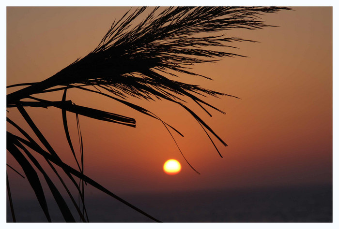 Ikaria