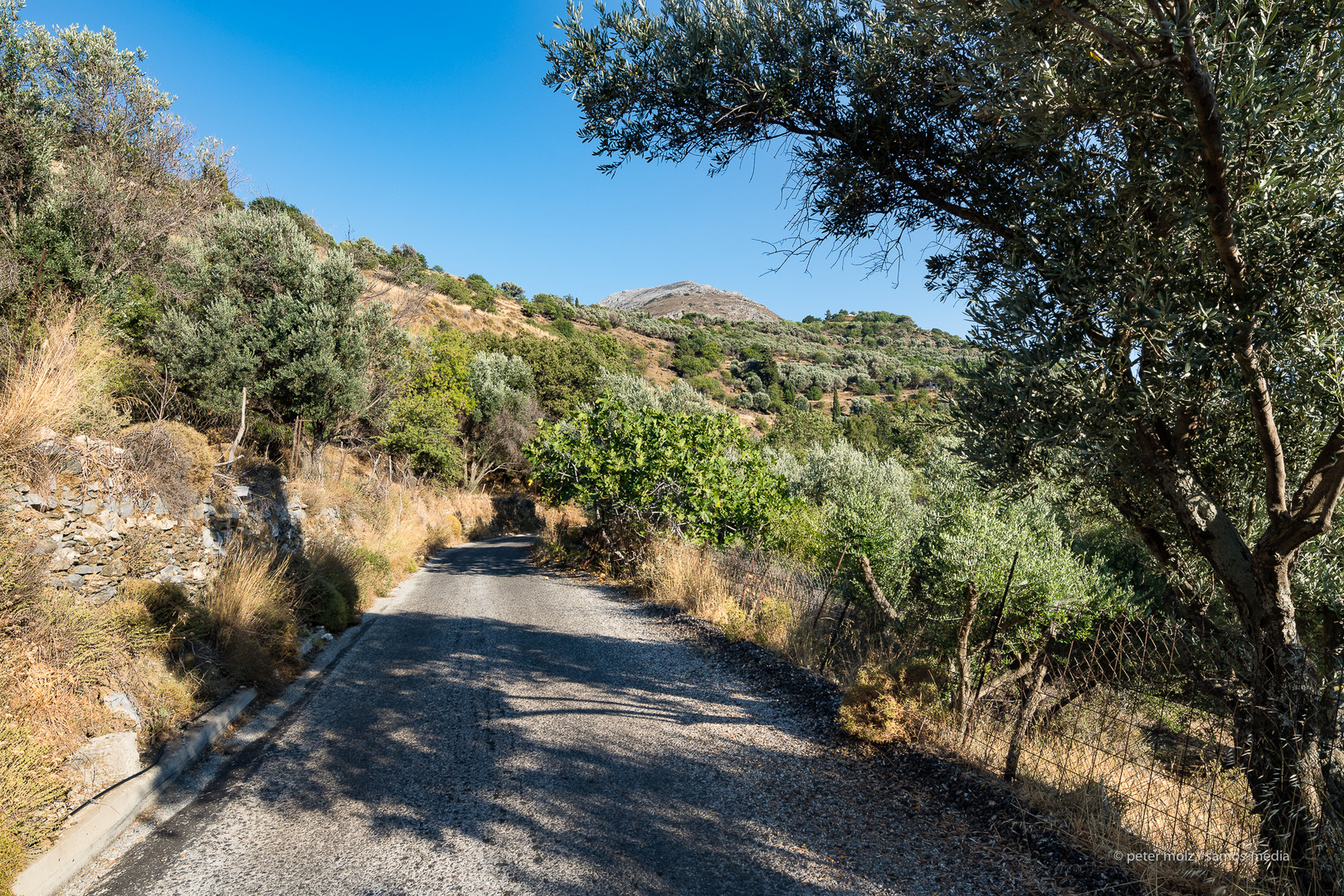 Ikaria - Landstrasse zwischen Fytema und Dafni