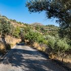 Ikaria - Landstrasse zwischen Fytema und Dafni