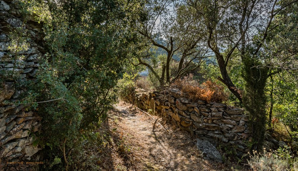 Ikaria - On the footpath to Ai Giannis