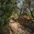 Ikaria - On the footpath to Ai Giannis
