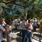 Ikaria - People dancing at panigyri in Pezi