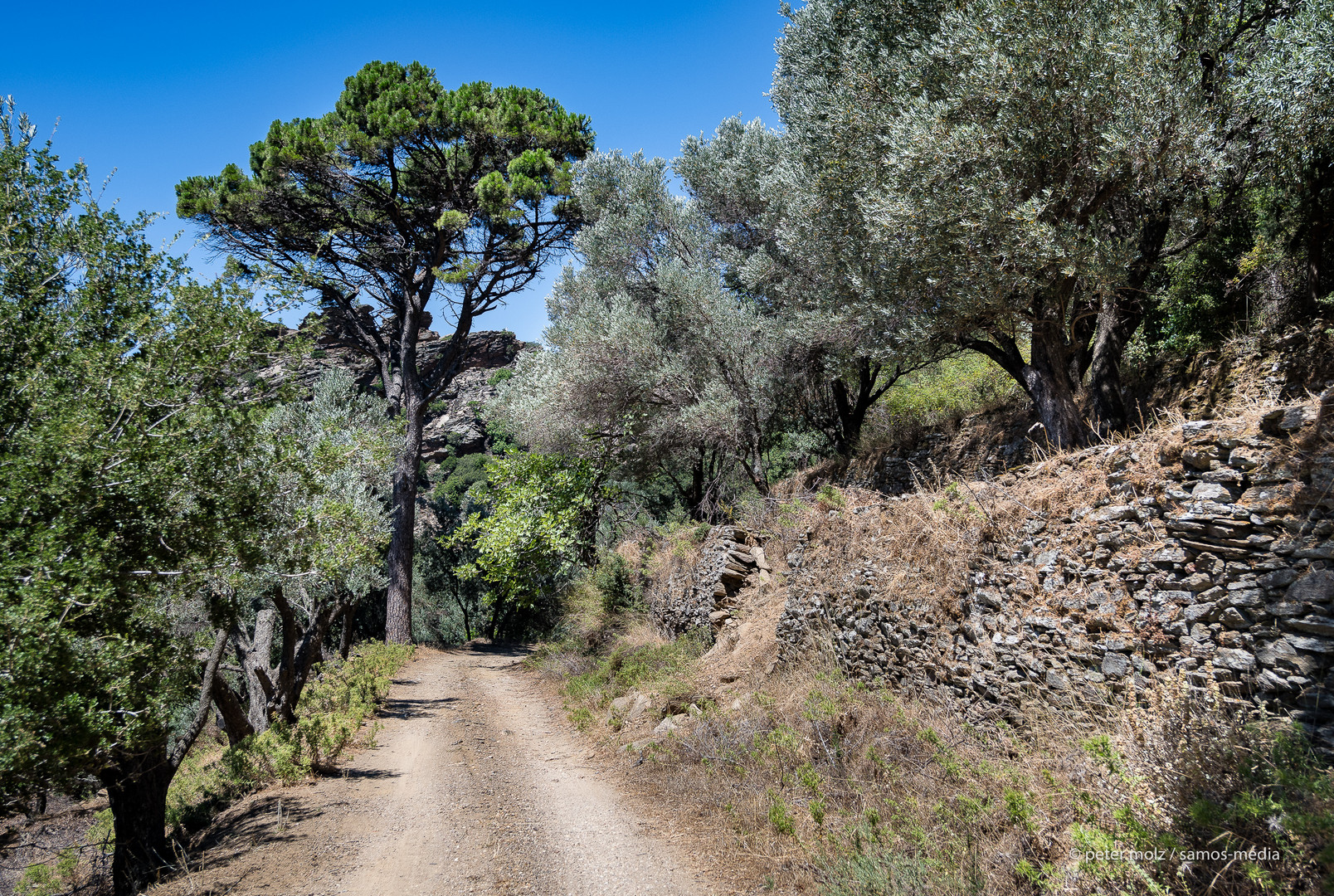 Ikaria - Unterwegs in Olivenhainen bei Monokampi 