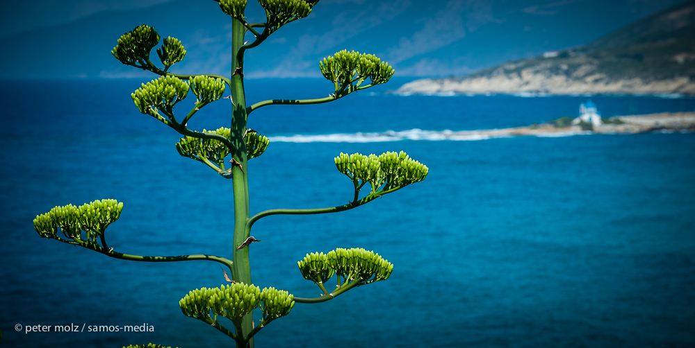 Ikaria - view towards chapel of Gialiskari