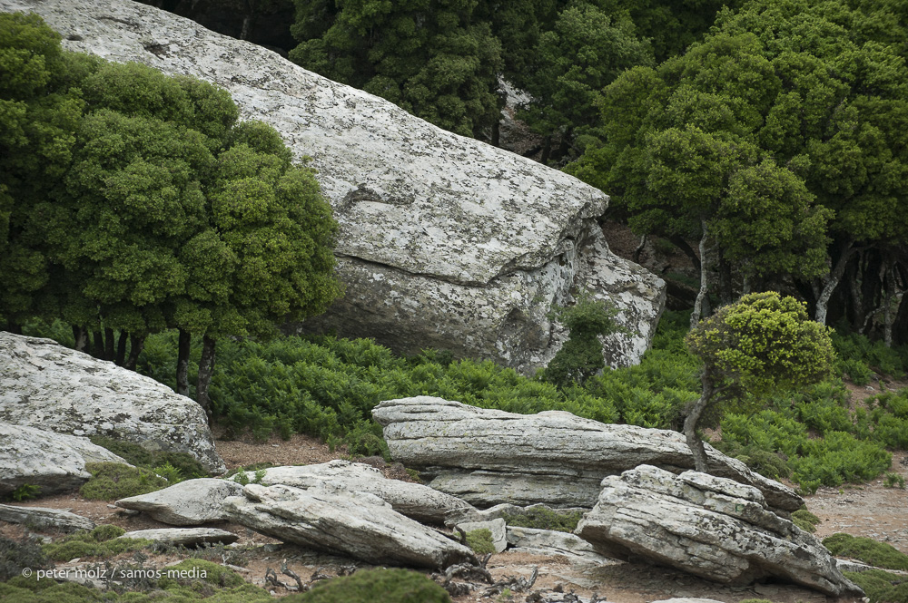 Ikaria - Wild mountain side