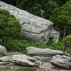 Ikaria - Wild mountain side