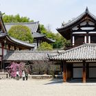 Ikaruga - Horyu-Tempel