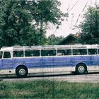 Ikarus 55