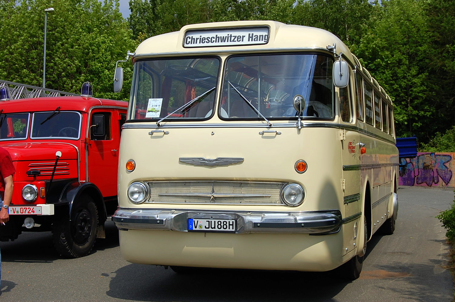 Ikarus 55