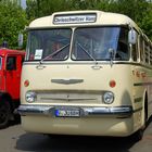 Ikarus 55