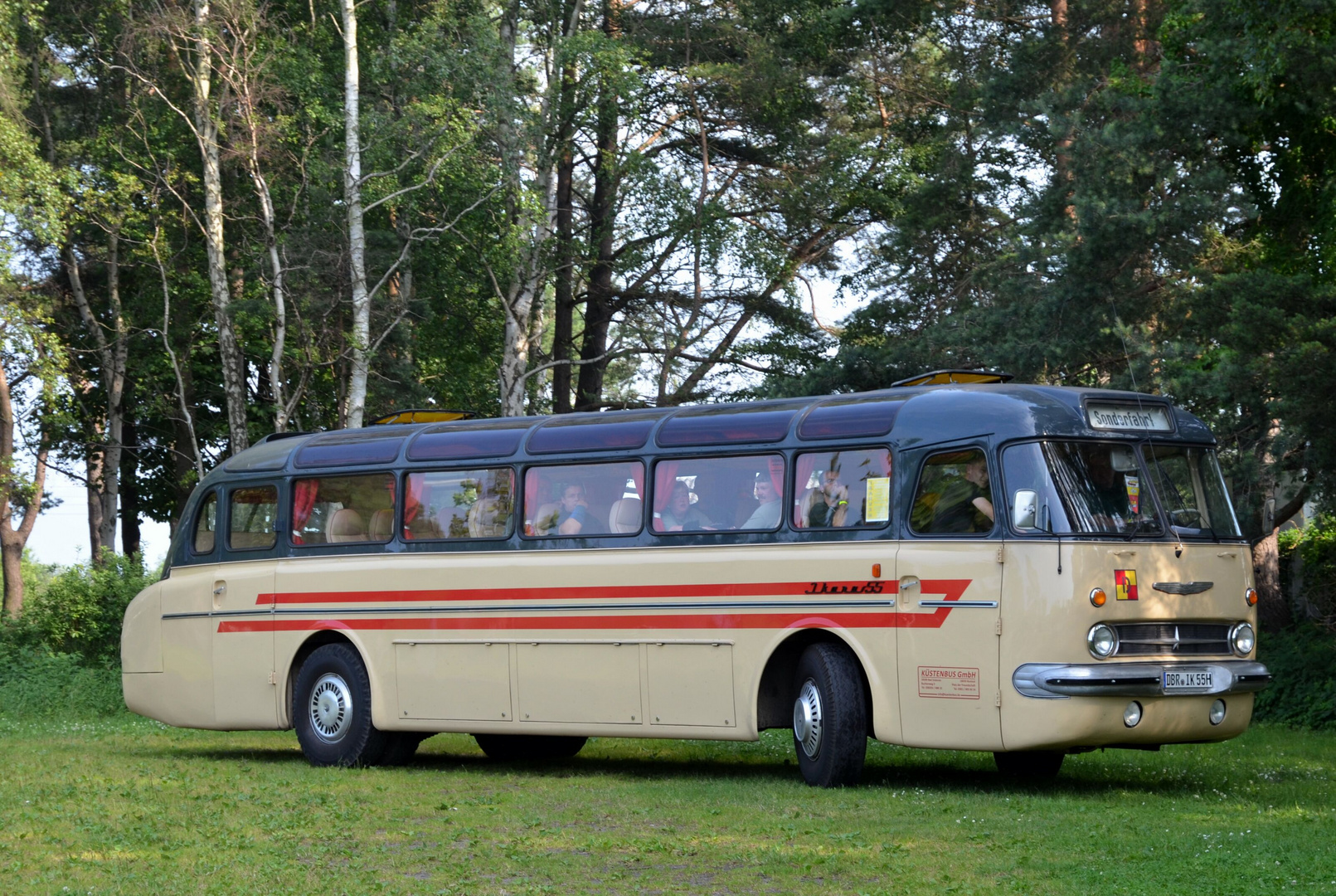 Ikarus 55