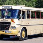 IKARUS 630 Bus
