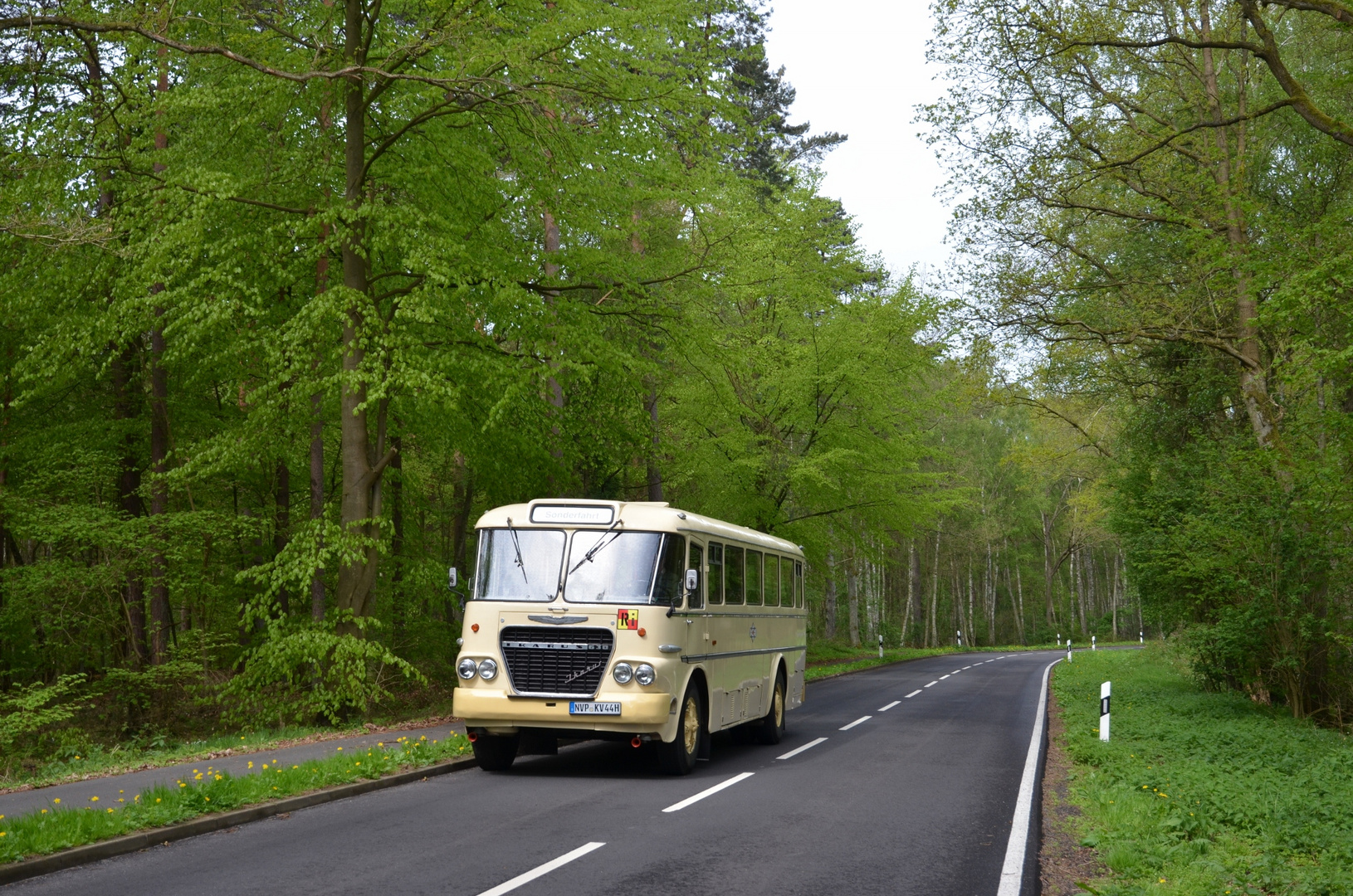 Ikarus 630 - Tour durch den Frühling