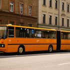 IKARUS- Bus