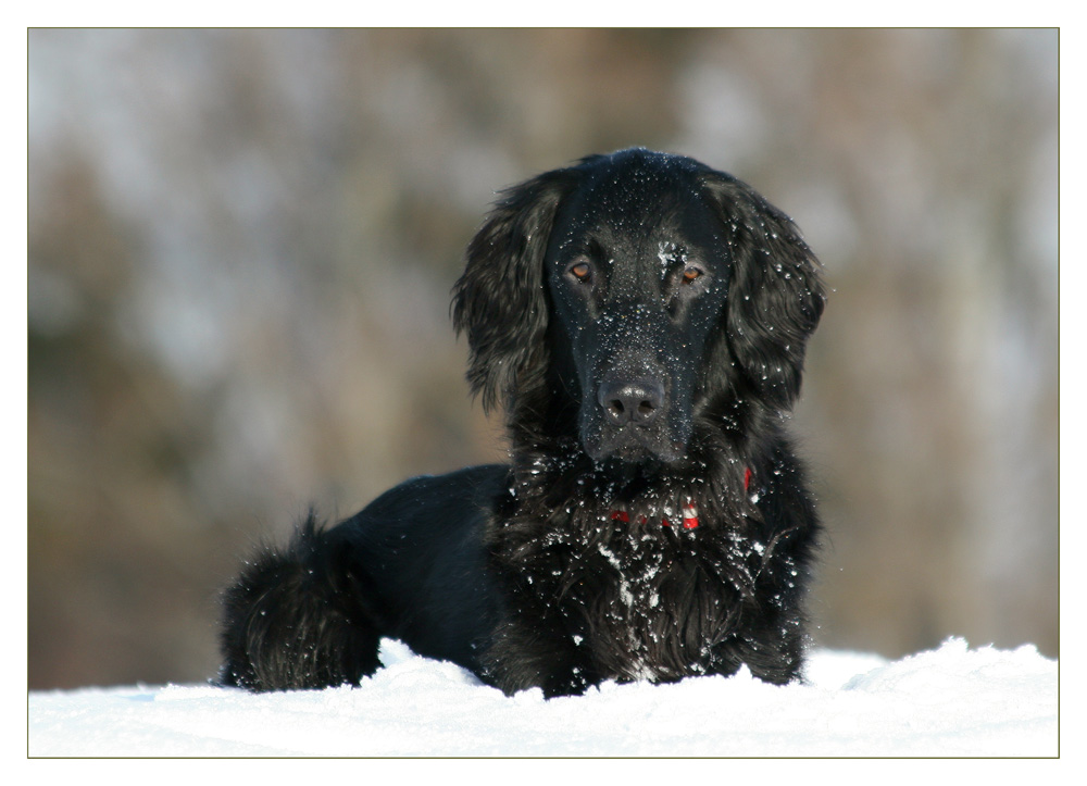 IKE im Schnee