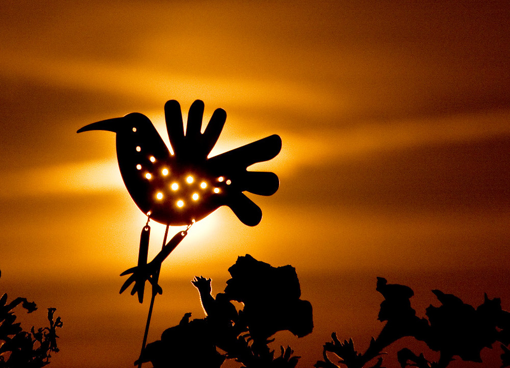 IKEA Vogelscheuche im Abendlicht