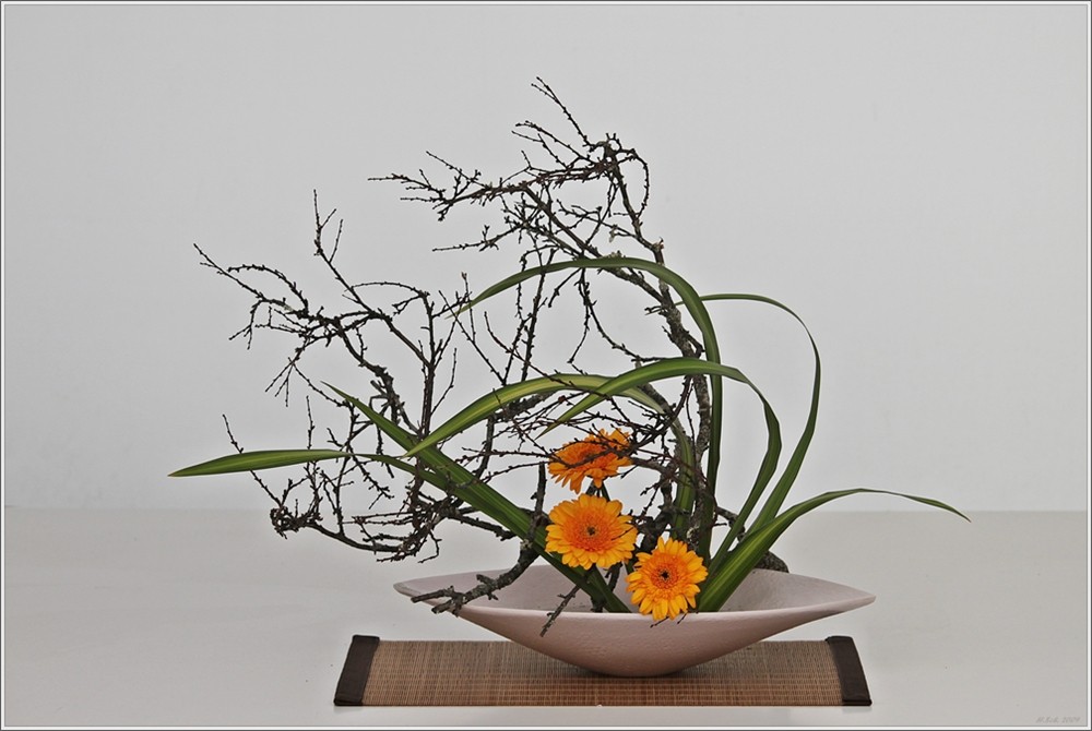 Ikebana 1