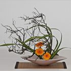 Ikebana 1