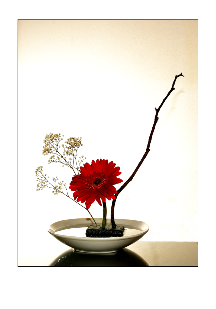 Ikebana #_1