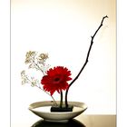 Ikebana #_1