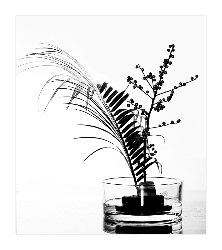 Ikebana #2