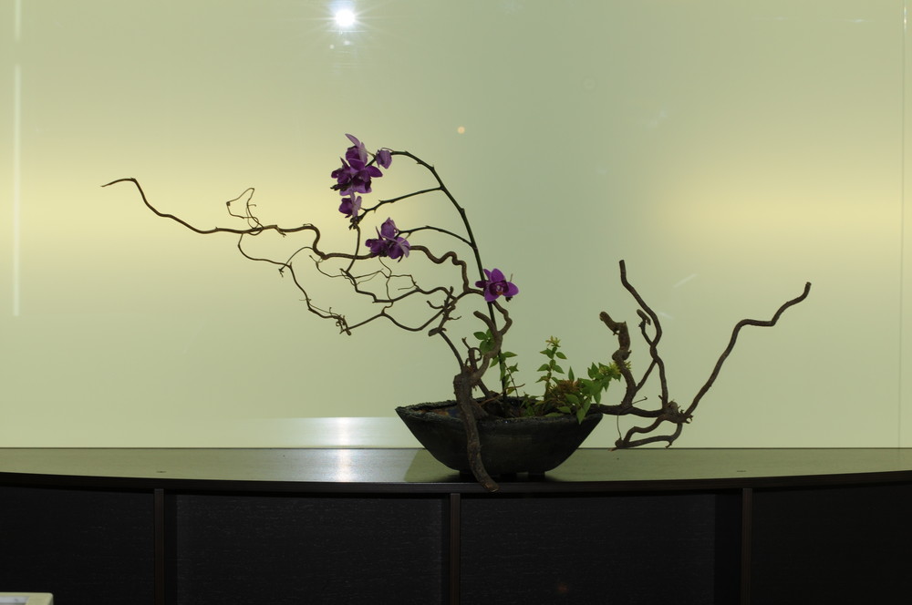 IKEBANA 2009